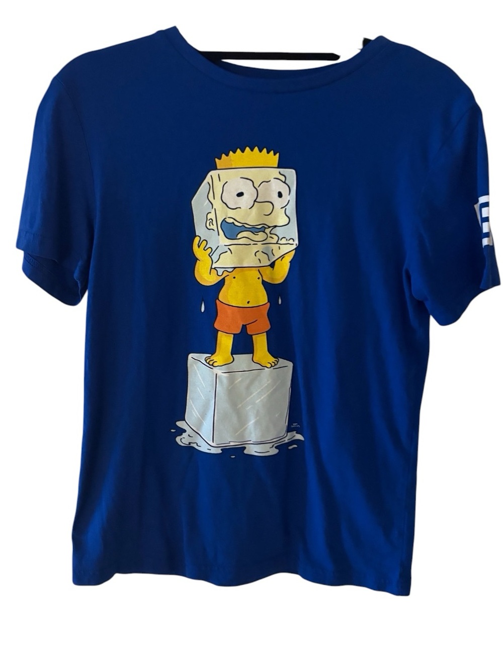 NEFF x Simpsons Bart Graphic T-Shirt with Cartoon Ice Cube Small💙